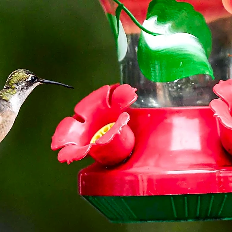 The Weekend Mauling: 4/25/26