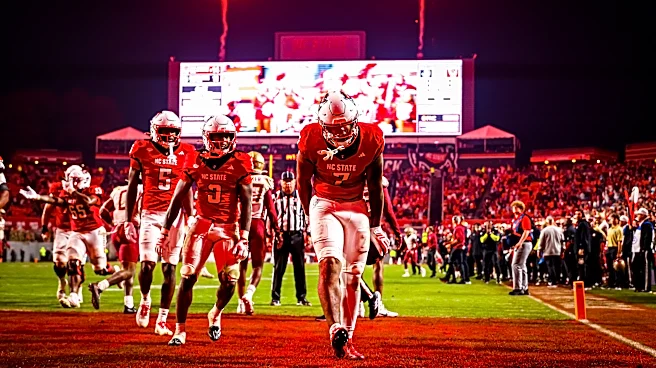 Denver Broncos tight end Justin Joly highlights