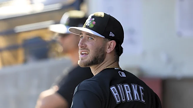 Identical scores: White Sox lose game, series 2-1 to Nationals