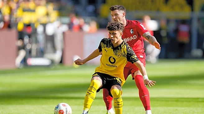 The Daily Bee: BVB Youth