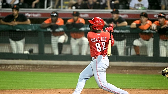 The minor leaguers crushing the ball in the Cincinnati Reds system