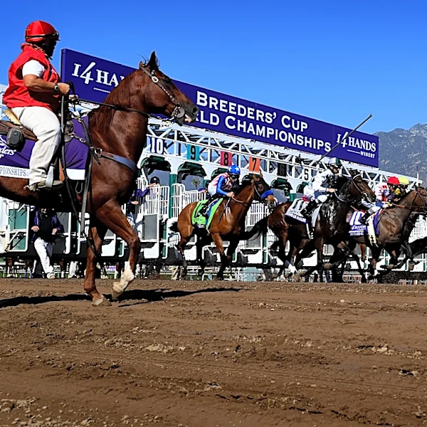 Place Your Bets on the 2026 Arizona Diamondbacks: And, they’re off!