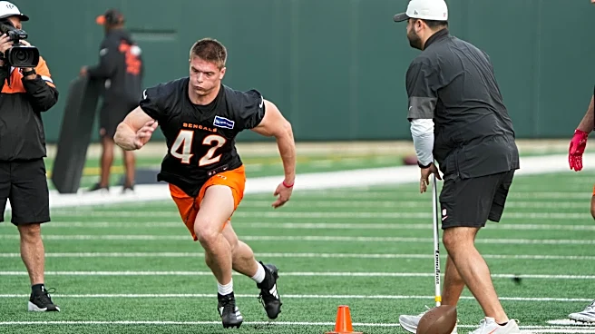 Reacts Results: Fans high on 2026 draft class