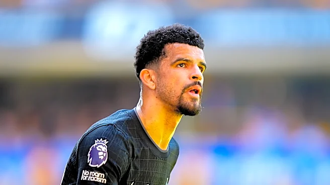 Dom Solanke could miss remainder of season with grade 2 hamstring tear