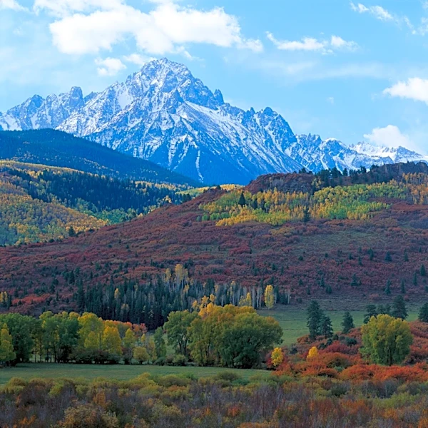 Reds welcome the Colorado Rockies to Cincinnati