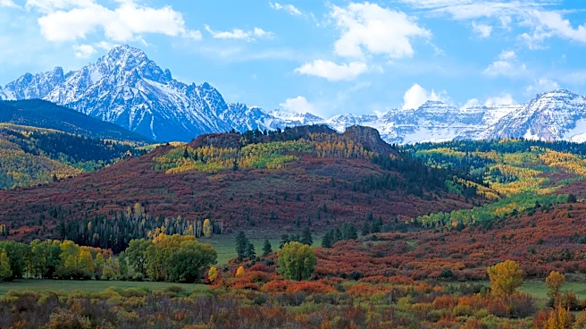 Reds welcome the Colorado Rockies to Cincinnati