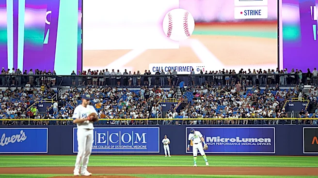 So, who on the Yankees is allowed to challenge balls and strikes?