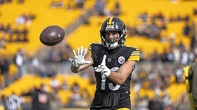 Steelers free agent visiting Detroit Lions