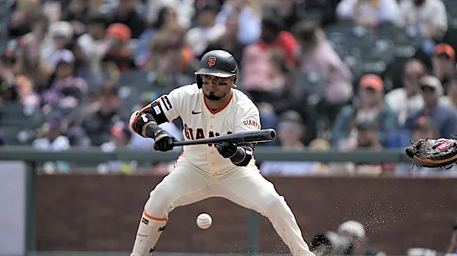 Will Luis Arraez hit a home run this season?