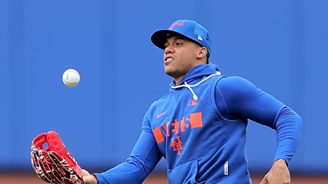 Mets announce Juan Soto is dealing with forearm tightness