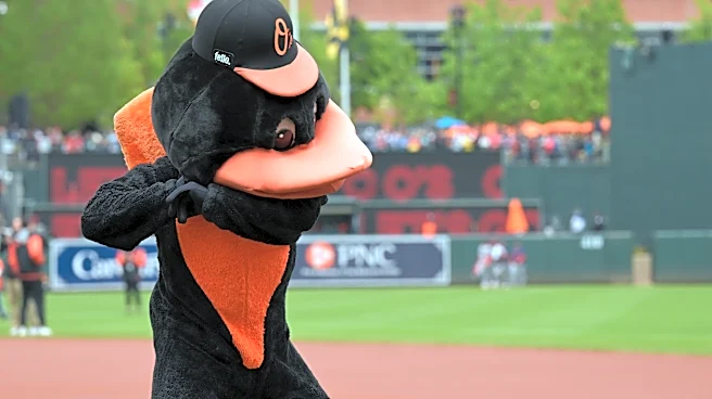 Orioles minor league recap 4/29: Tuft finishes just short of cylce in Baysox win