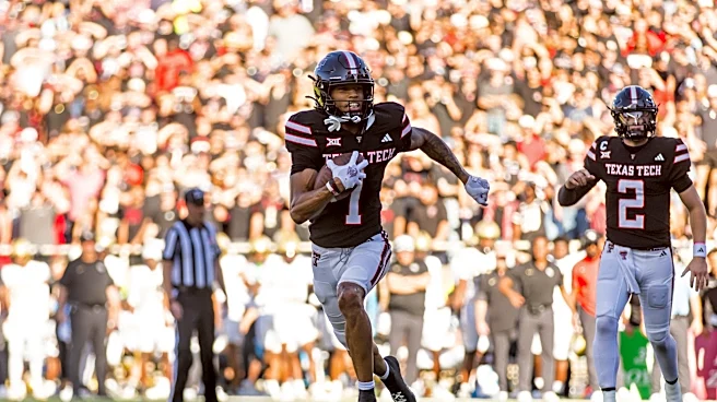 Need to Know! Meet new Cardinals WR Reggie Virgil