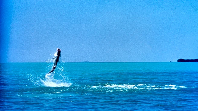 Minor league update for 4/28/26