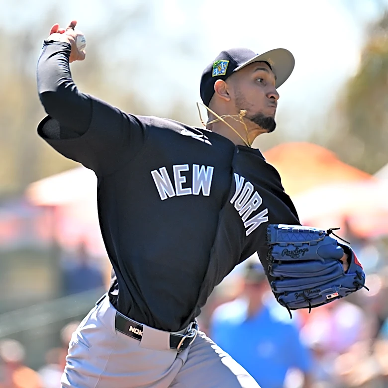 Elmer Rodríguez has the tools to succeed with the Yankees