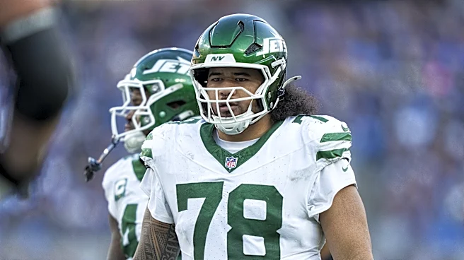 Detroit Lions sign two veteran defenders