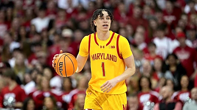 Transfer Update: Darius Adams Joins The Pack