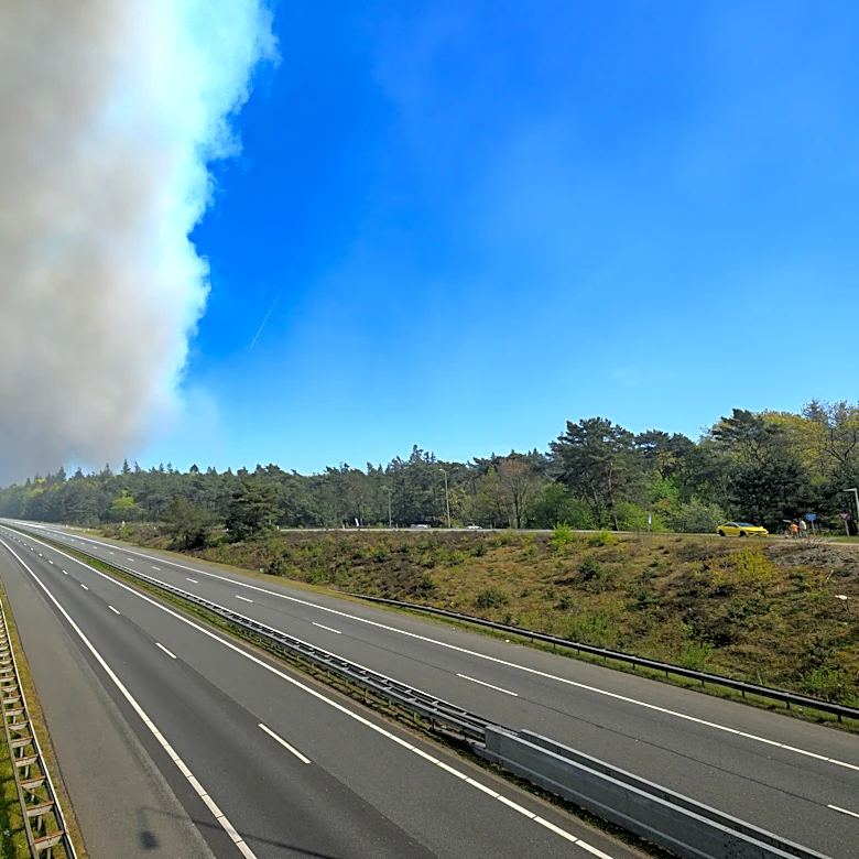 The Daily Hilario: Thursday