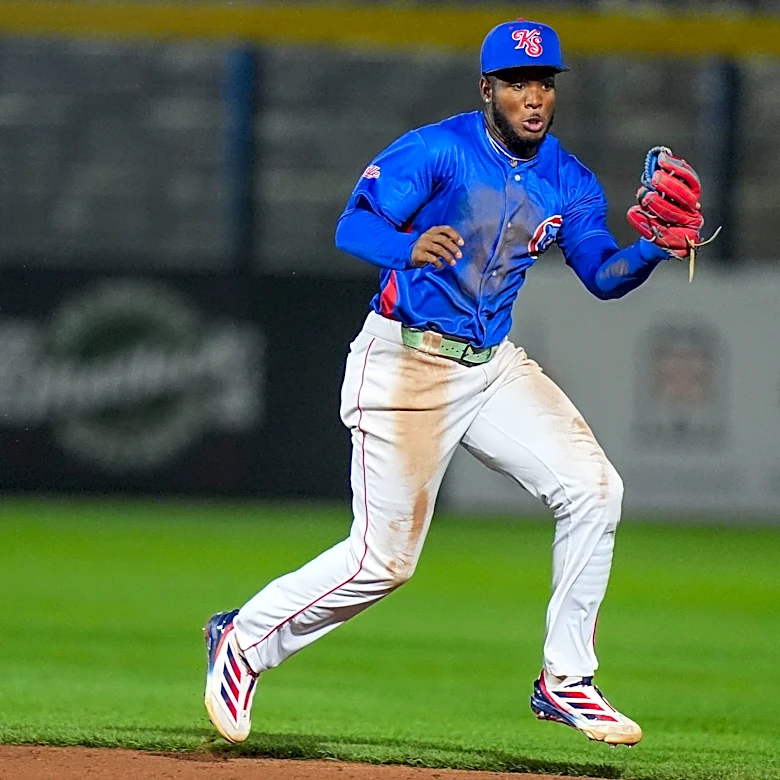 Cubs Minor League Wrap: Smokies split with Trash Pandas