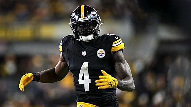Steelers WR DK Metcalf not facing criminal charges after incident with fan