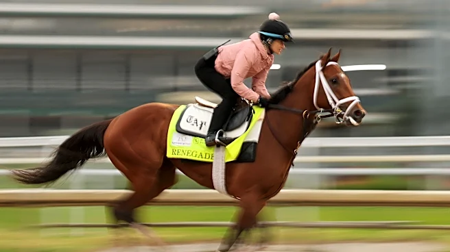 Kentucky Wildcats News: Kentucky Derby Day Edition