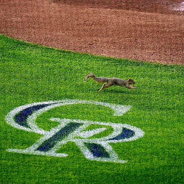Braves 9, Rockies 1: Just one wing at Coors Field tonight