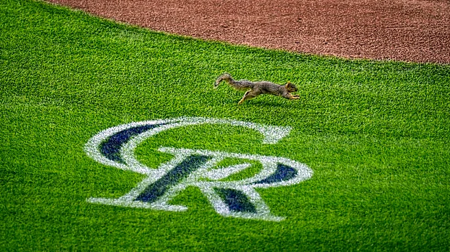 Braves 9, Rockies 1: Just one wing at Coors Field tonight