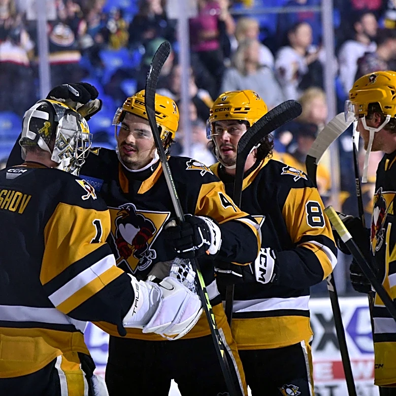 AHL Playoff Update: Wilkes-Barre drops Game 2, tied 1-1 with Hershey