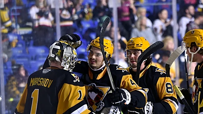 AHL Playoff Update: Wilkes-Barre drops Game 2, tied 1-1 with Hershey