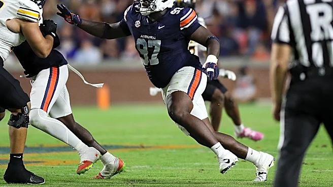 Rookie DT Bobby Jamison-Travis can find a role with the NY Giants