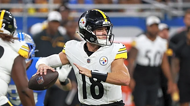 Former Steelers QB signs with UFL team