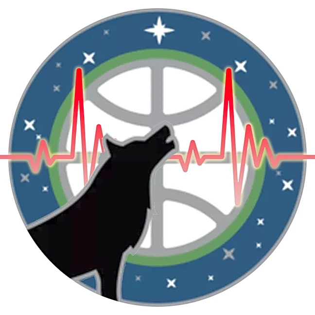 Canis Pulsus Vol. 49 – Playoff Round 2 Predictions