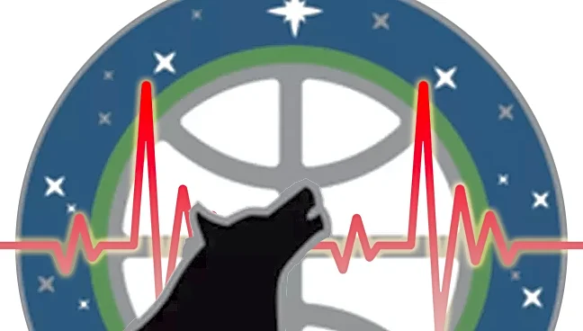 Canis Pulsus Vol. 49 – Playoff Round 2 Predictions