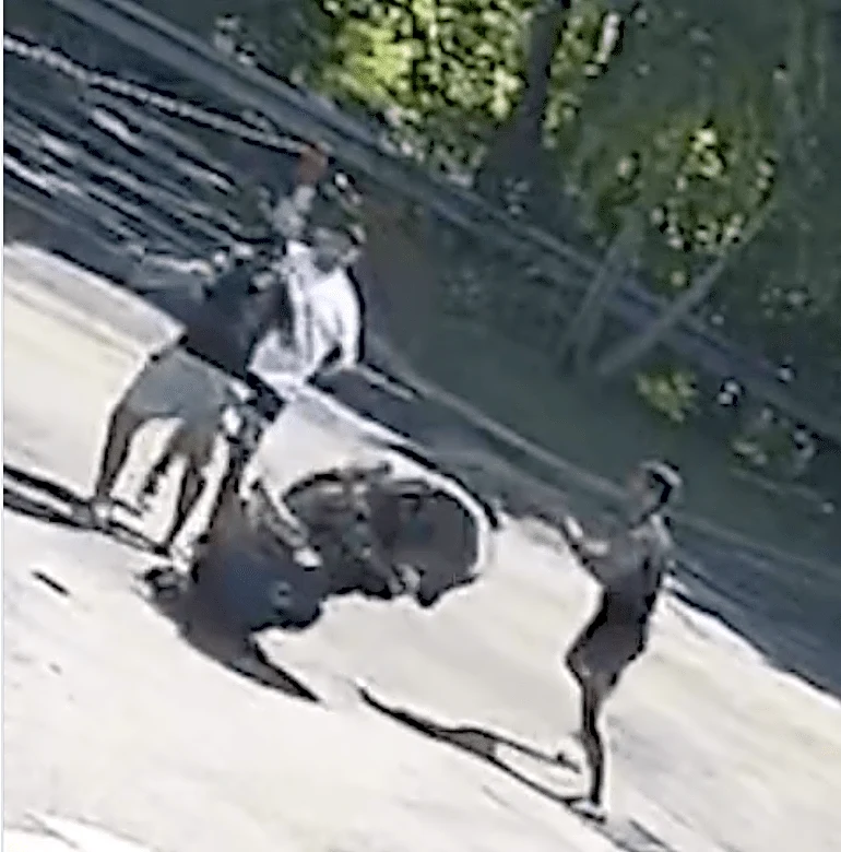 Pitbull brothers post footage of brawl that cancelled fight, claim Karate Combat ‘trying to manipulate’ narrative