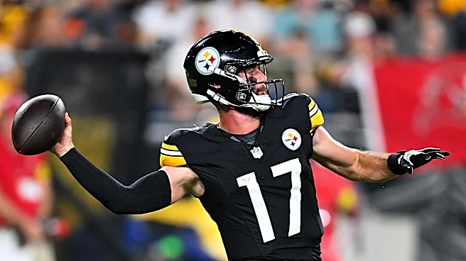 Former Steelers QB signs with Ravens