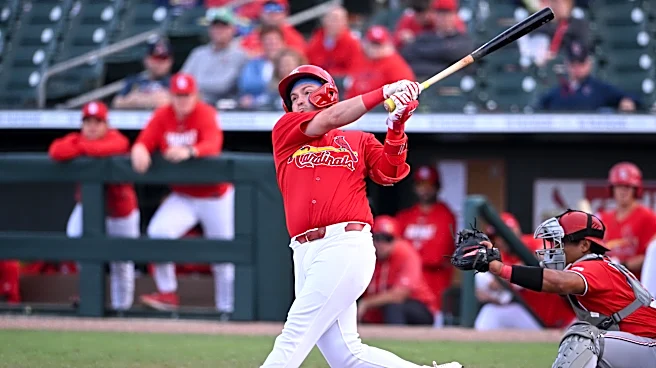 Five Players Trying to Crack Cardinals 40-Man Roster