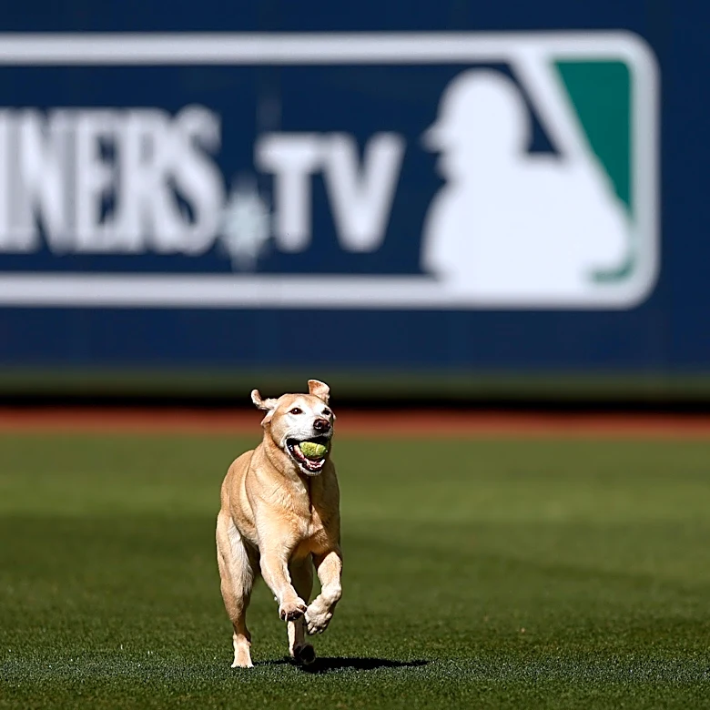 What will the Braves be chasing (or be chased for) down the stretch?