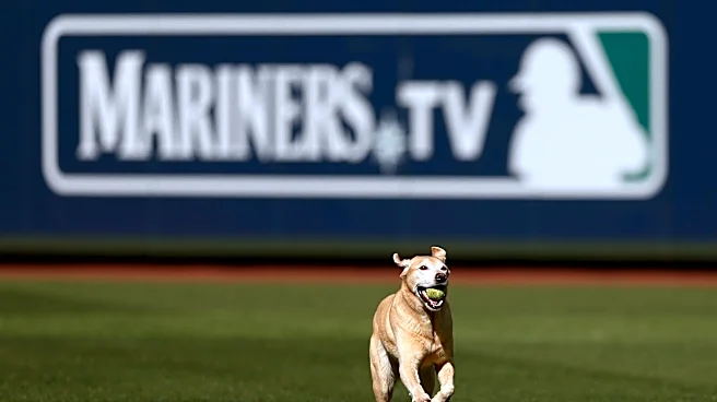 What will the Braves be chasing (or be chased for) down the stretch?
