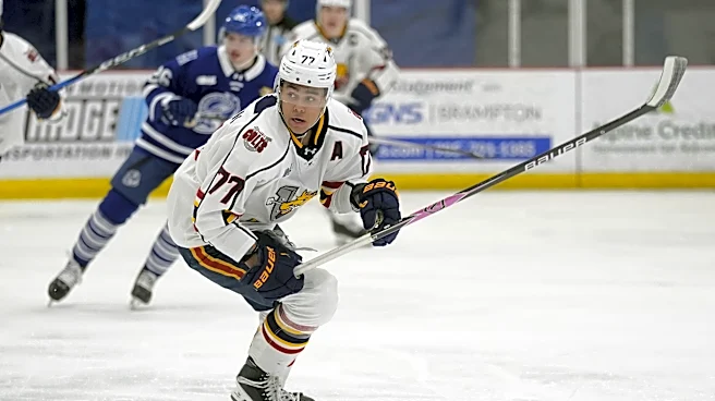 Playoffs & Islanders Prospect News: OHL clash