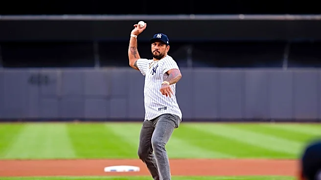 Video: Alex Pereira throws ceremonial first pitch strike at Yankee Stadium
