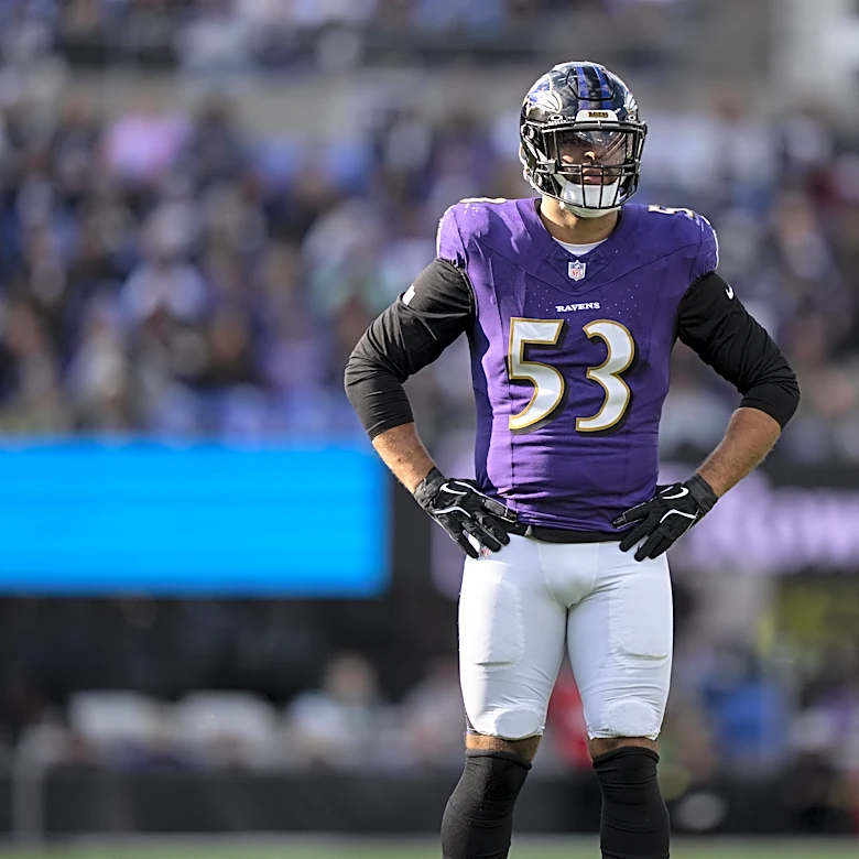 NFL analyst labels former Ravens LB as perfect match for Steelers