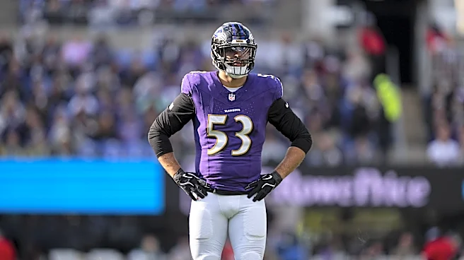NFL analyst labels former Ravens LB as perfect match for Steelers