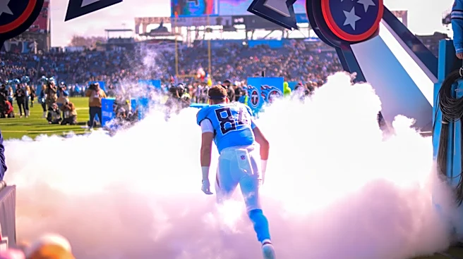 Titans have more competition at TE than you realize