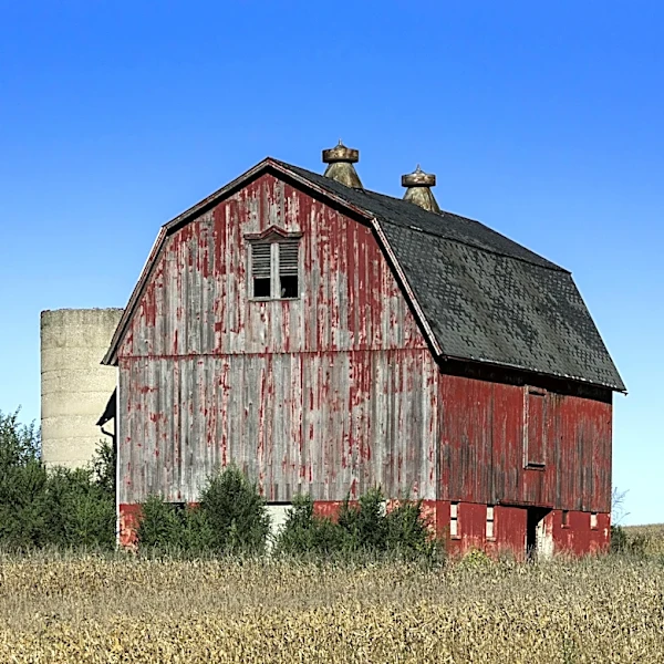 The Link Farm: 5.8.26