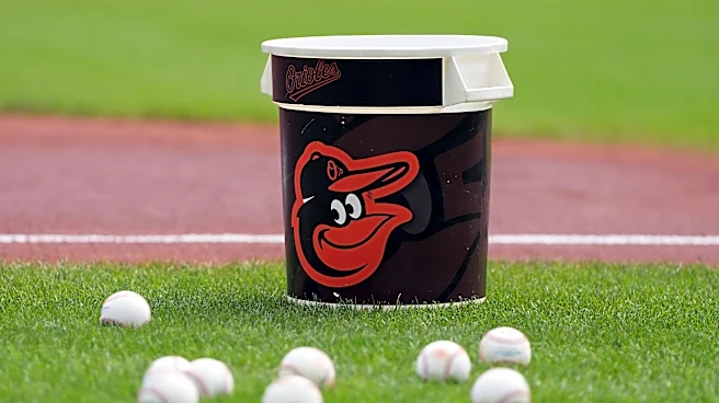 Orioles minor league recap 5/10: Four losses on the farm