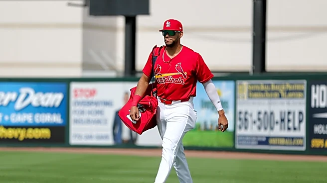 Who is the next man up for the Cardinals’ lineup?