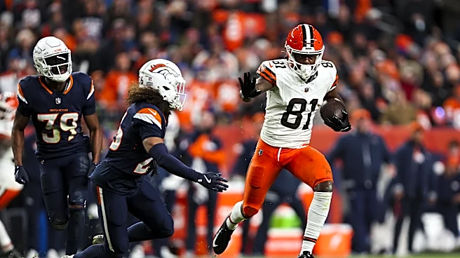 Broncos sign WR Mike Woods