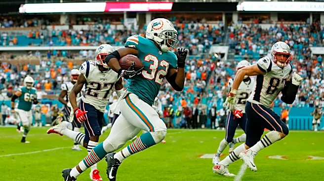Your Best & Worst Moments As A Dolphins Fan