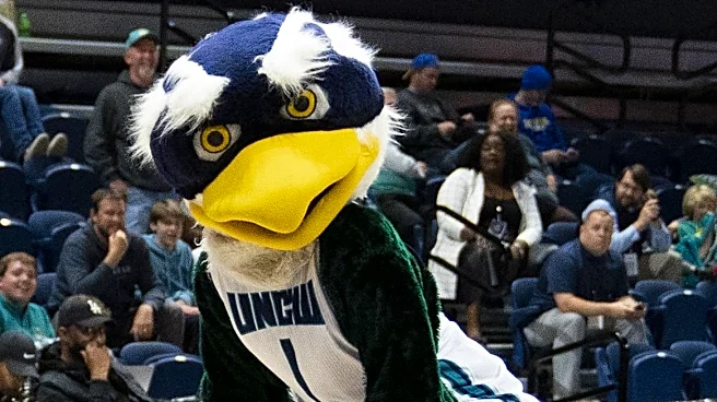Lauren Young Announces Her Transfer To Marquette Volleyball