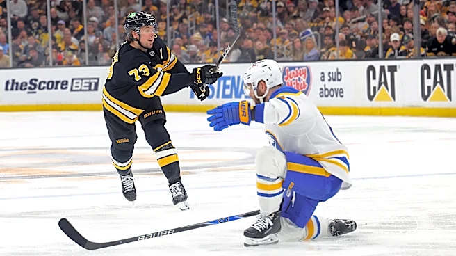 McAvoy gets six games for stick-swinging incident