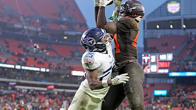 Browns roster: State of the TE room, starting with Harold Fannin Jr.